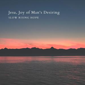 芒果视频污app草逼91
