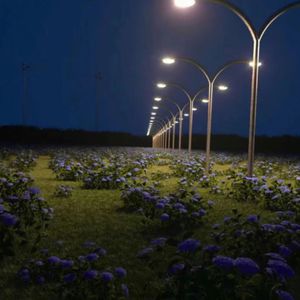 芒果视频污app草逼91
